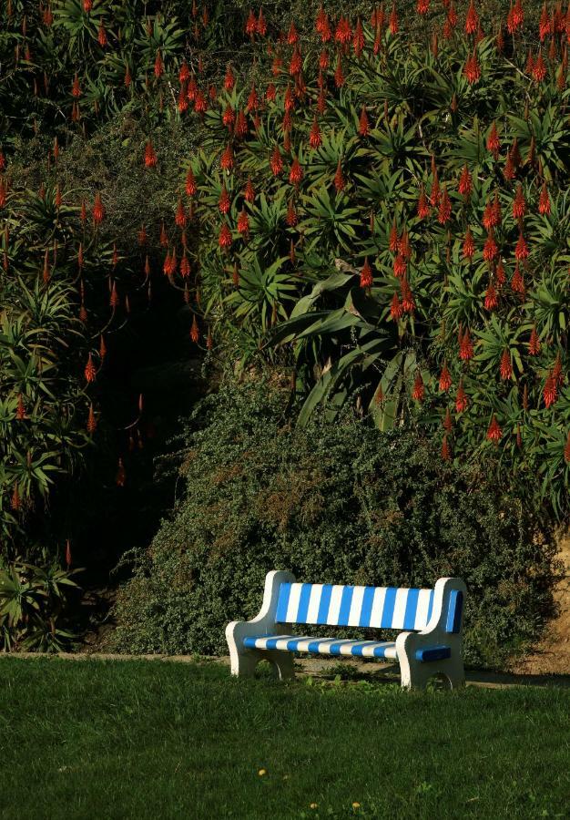 Azenhas Do Mar Cottage Синтра Екстериор снимка